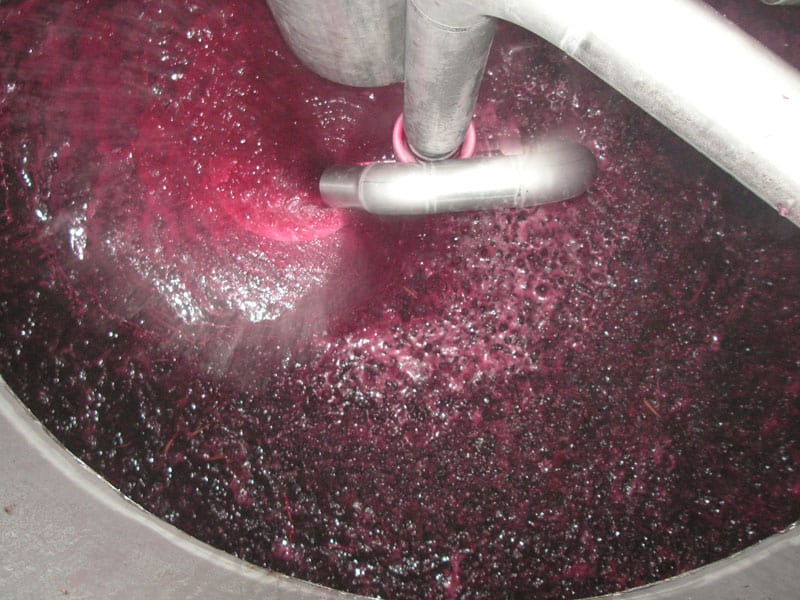 collage des vins rosés : apport de préparations enzymatiques