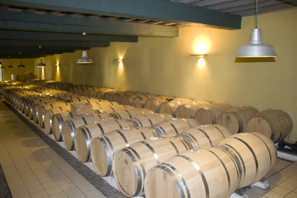 Chai à barriques du château dillon support de formations en viticulture et œnologie