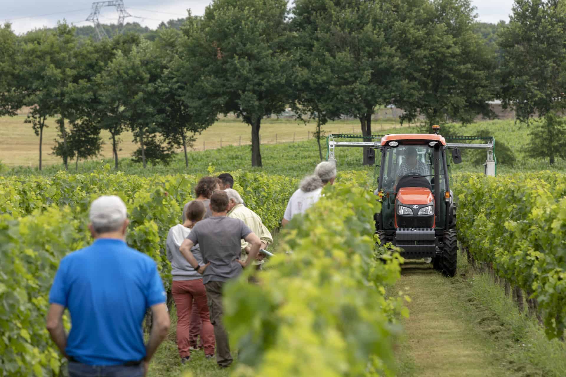 groupe de viticulteurs dans les vignes