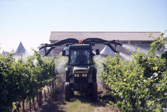 Un pulvérisateur en action dans une vigne