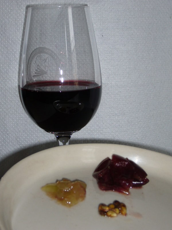 Verre de vin rouge, pulpe de raisin, pépins de raisin et peau de raisin dans une assiette