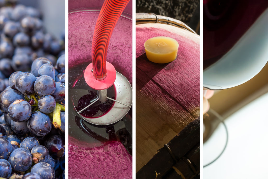 4 images de raisin, soutirage cuve, bonde de barriques et verre de vin