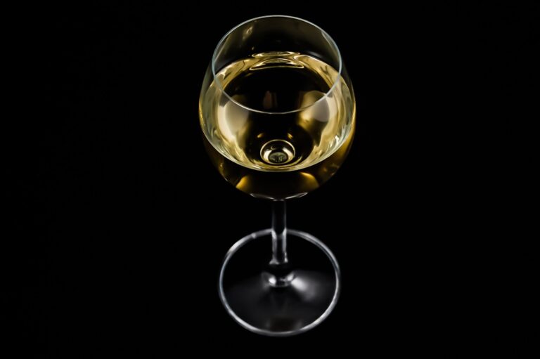 un verre de vin blanc isolé sur fond noir SO2