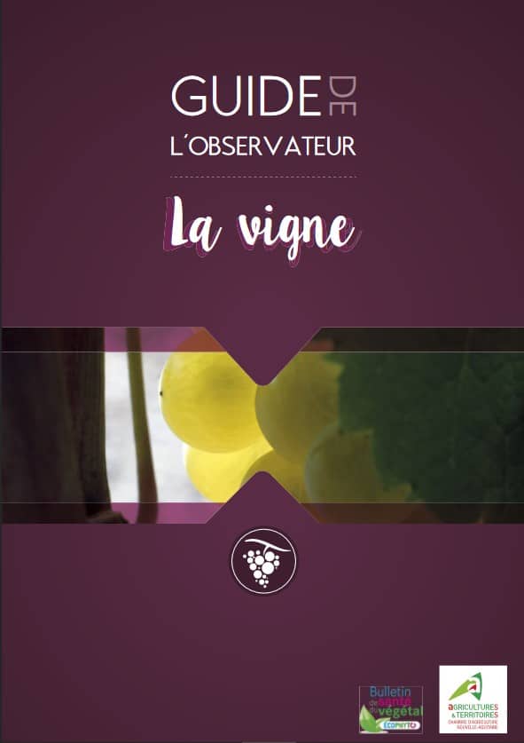 couverture du guide de l'observateur vigne oïdium