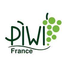 logo PWI France