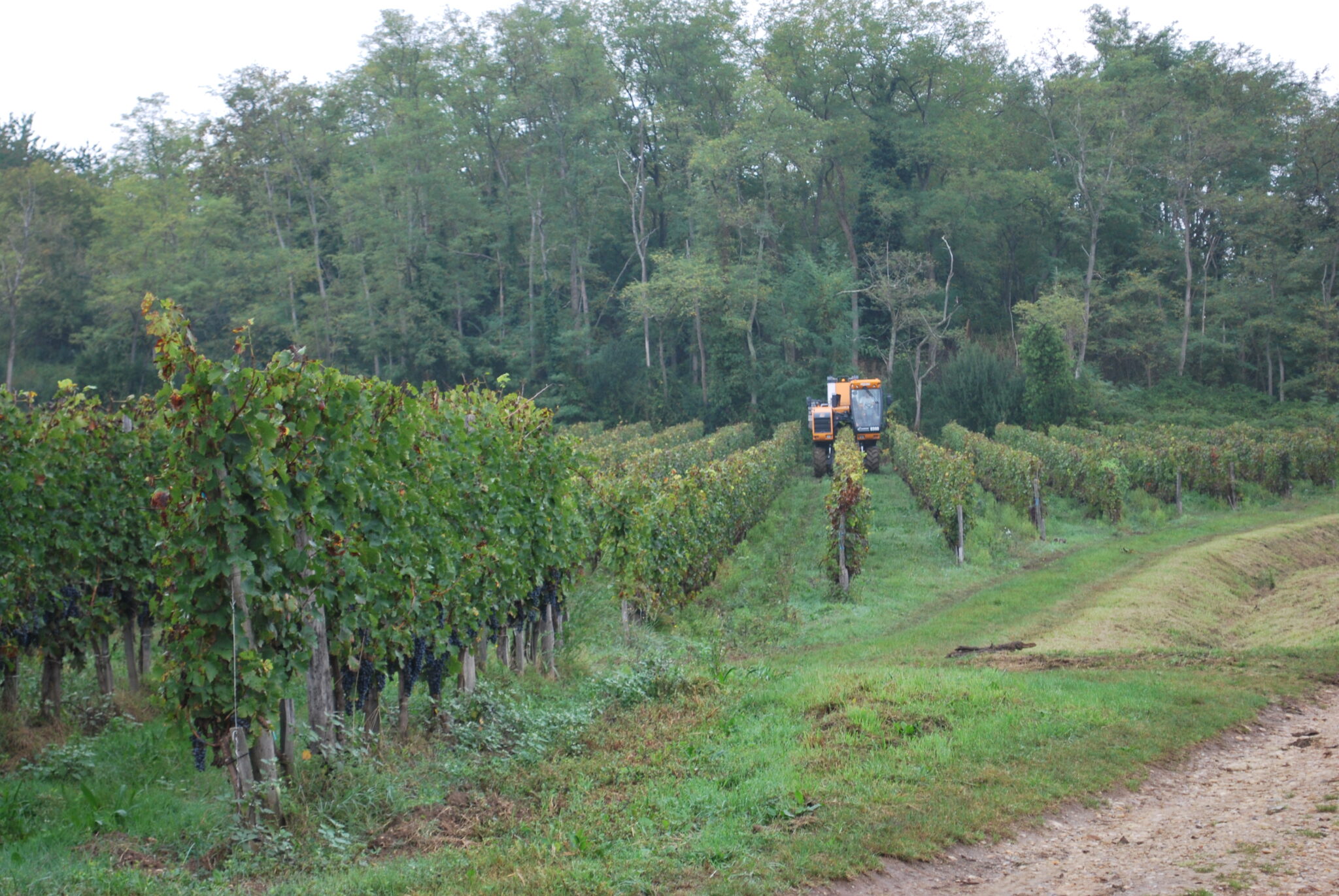 Machines à vendanger et tracteurs enjambeurs viticoles alignés sur un terrain caillouteux conduite