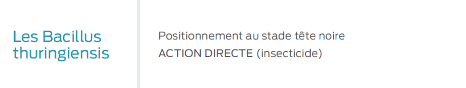 petit mémo sur les bacillus thuringiensis