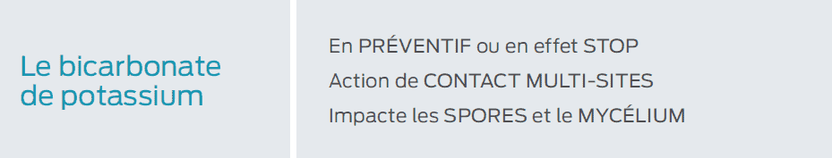 petit mémo sur le bicarbonate de potassium pour lutter contre la pourriture grise