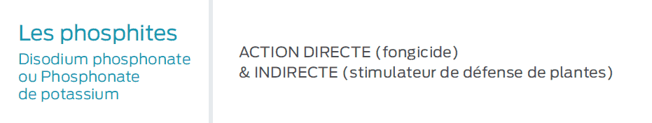 mémo sur les phosphites