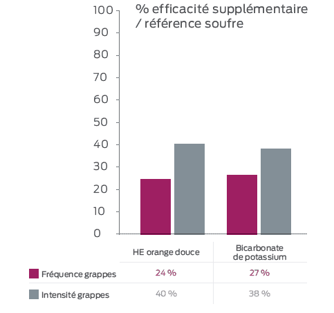 graphique pourcentages moyens d'efficacité supplémentaires contre l'oïdium