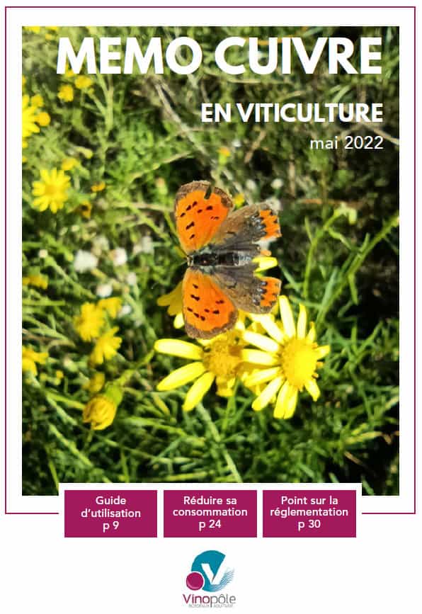 première de couverture mémo cuivre vinopôle