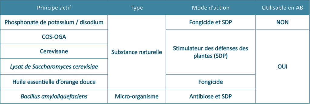 biocontrôle contre le mildiou