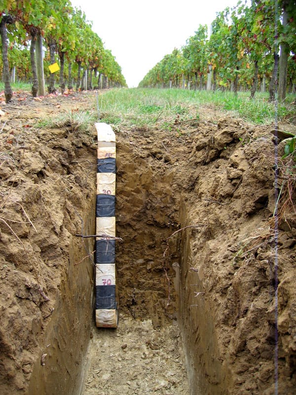 fosse pédologique creusée entre deux rangs de vigne