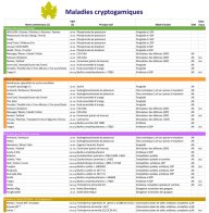 liste des produits de biocontrôle homologués en viticulture mars 2023
