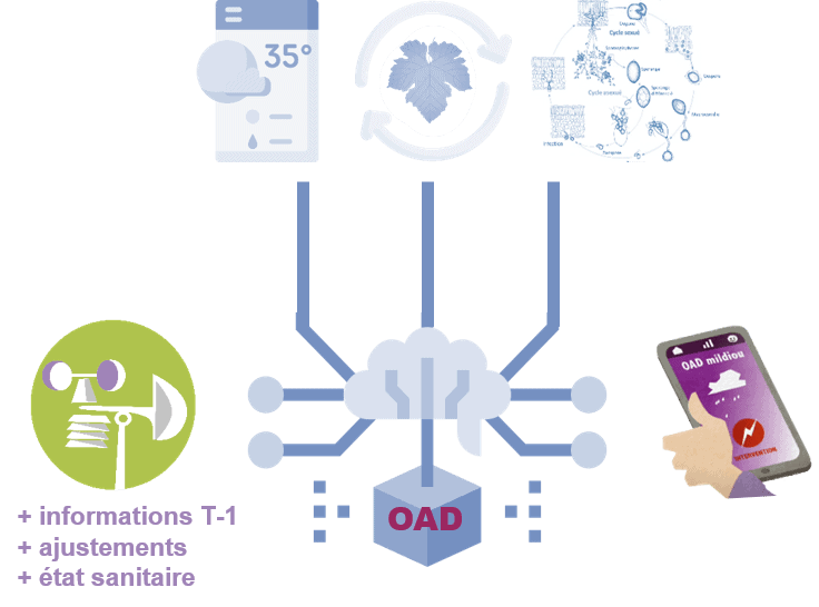 schéma présentant le fonctionnement d'un outil d'aide à la décision en protection du vignoble