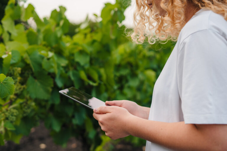 jeune viticultrice utilisant un outil d'aide à la décision sur une parcelle de vigne