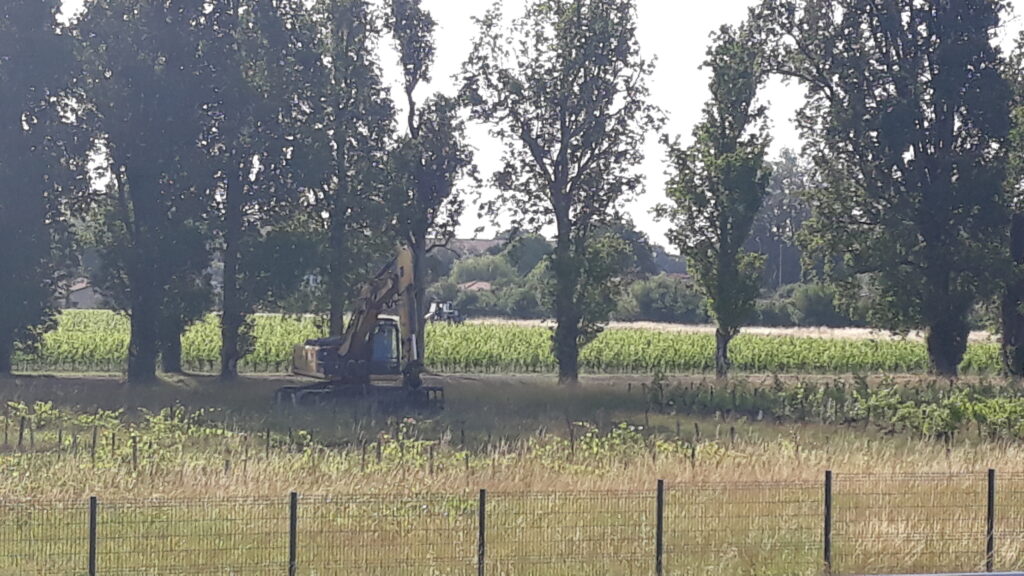 pelleteuse en train d'arracher des plants de vigne