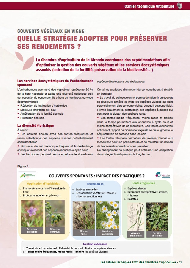 image article sur les couverts végétaux en vigne extrait du cahier technique viticulture 2023 rédigé dans le cadre su salon tech n bio 2023