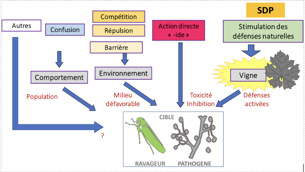 schéma synthétique des modes d'actions du biocontrôle en viticulture sur un ravageur ou un pathogène