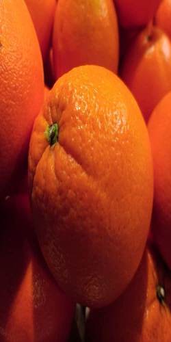 une orange au milieu d'autres oranges