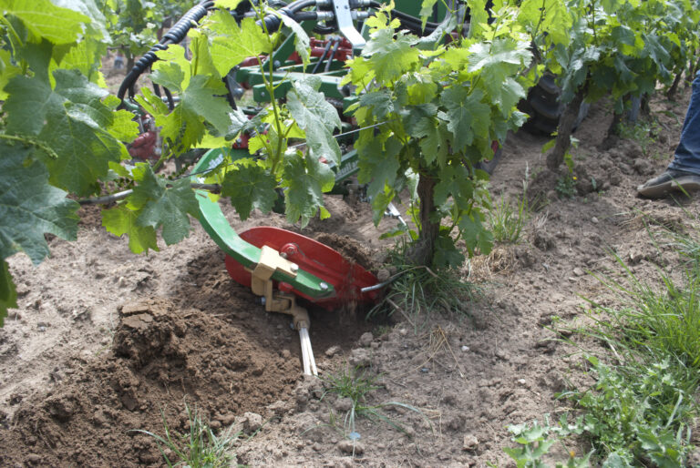 travail du sol en viticulture