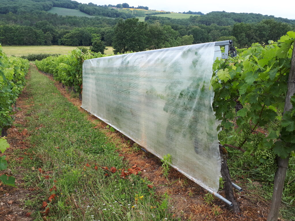 TNT mini-tunnel, bâche baissée juste avant un traitement