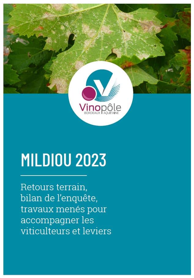 première de couverture du document de synthèse de l'enquête mildiou réalisée en 2023