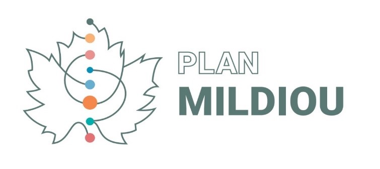 logo du plan mildiou