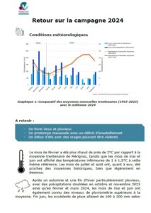 couverture du bilan de la campagne viticole 2024 du Vinopôle