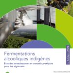 Couverture de la publication sur les fermentations alcooliques indigènes