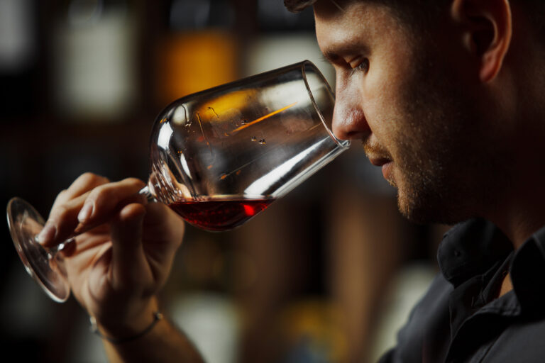 dégustation de vin